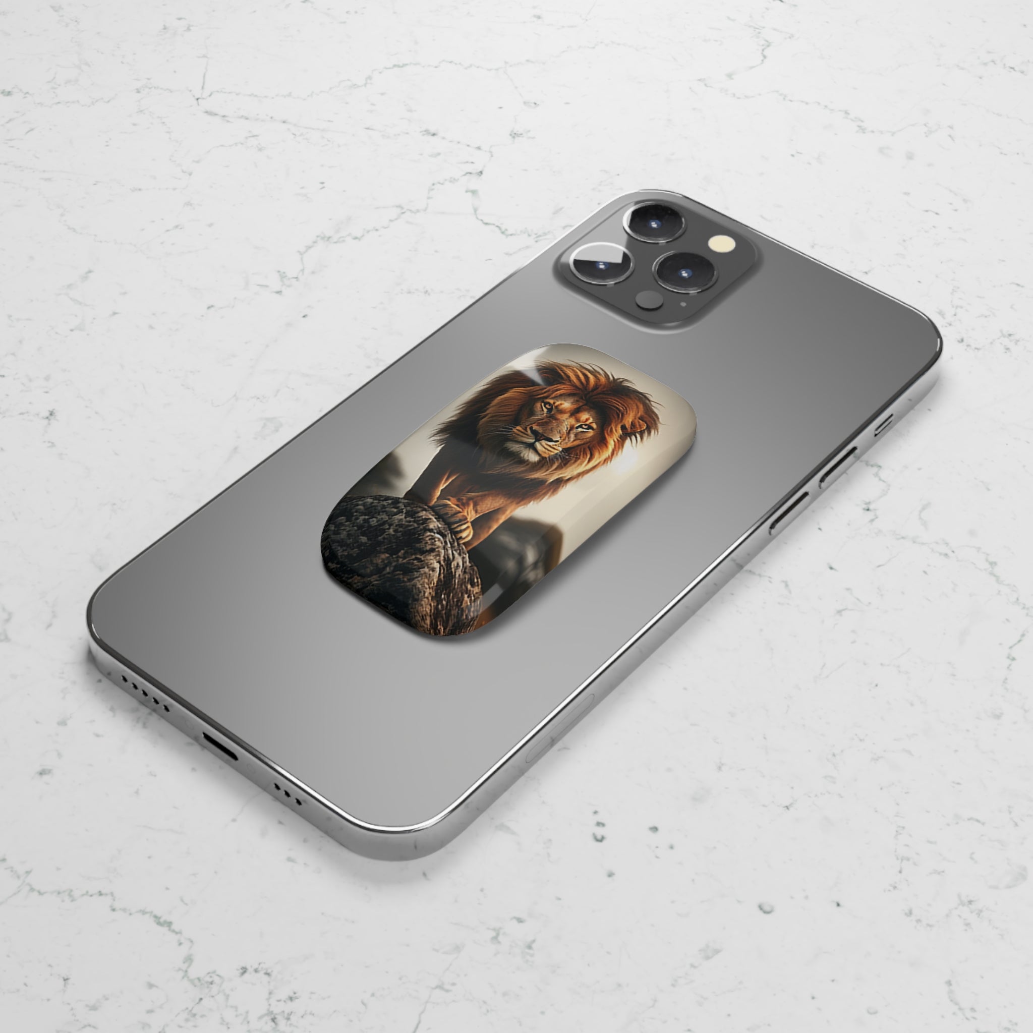 Lion on a rock - Phone Click-On Grip