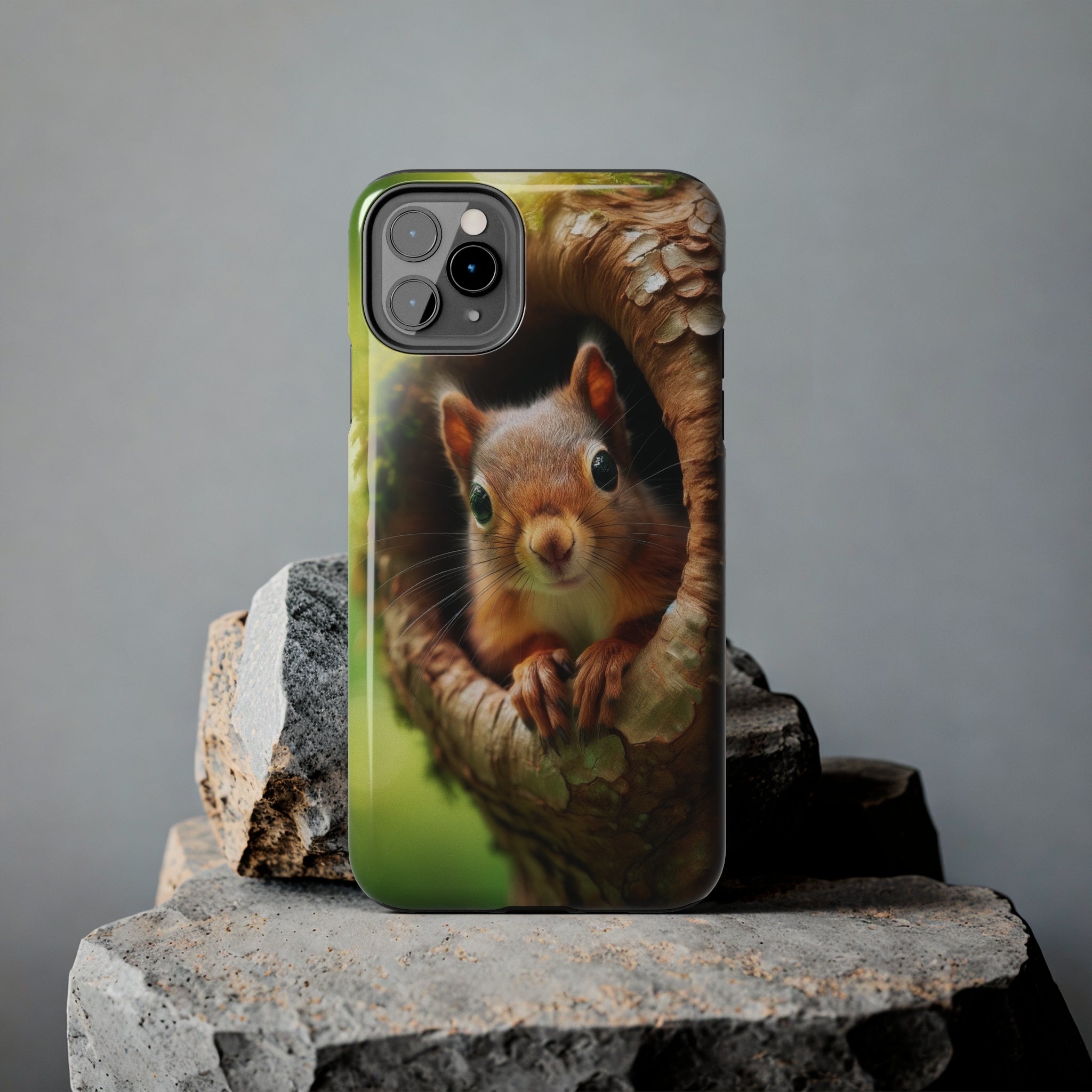 Squirrel in a tree - Tough Phone Case